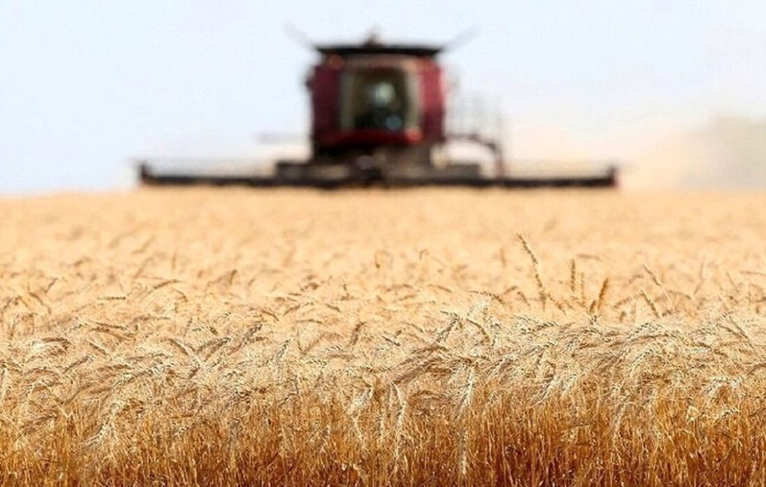 ضرورت تسریع در پرداخت ۵ درصد باقی مانده طلب کشاورزان