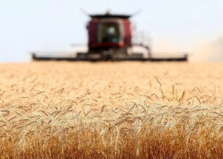 ضرورت تسریع در پرداخت ۵ درصد باقی مانده طلب کشاورزان