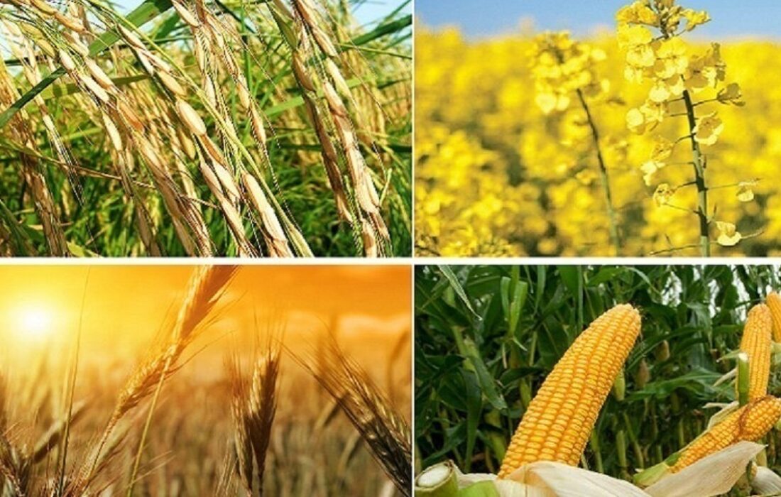 با گذشت ۶۶ روز از مهلت قانونی خبری از اعلام نرخ محصولات اساسی نیست