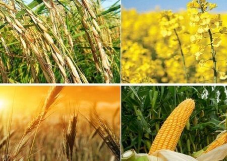 با گذشت ۶۶ روز از مهلت قانونی خبری از اعلام نرخ محصولات اساسی نیست