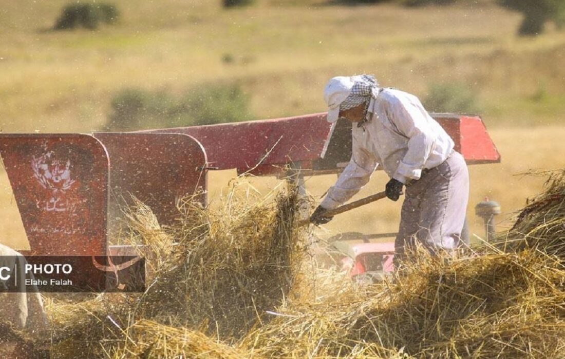 جلسه قیمت گذاری گندمکاران برای سال آینده برگزار شد