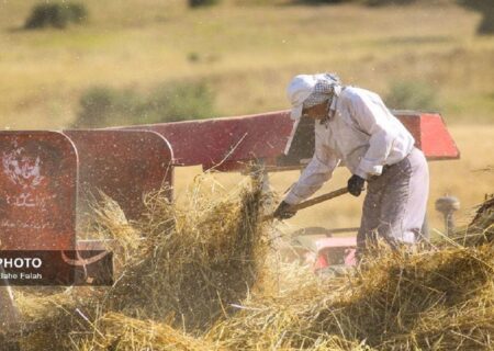 جلسه قیمت گذاری گندمکاران برای سال آینده برگزار شد