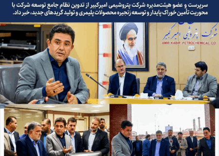 تدوین نظام جامع توسعه پتروشیمی امیرکبیر